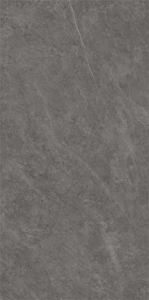 918SR1238 保加利亚黑