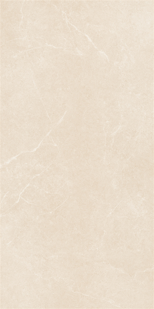 SR918811 文莱米黄 