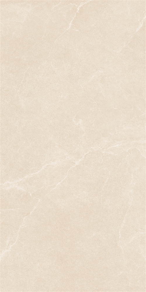 SR918811 文莱米黄 