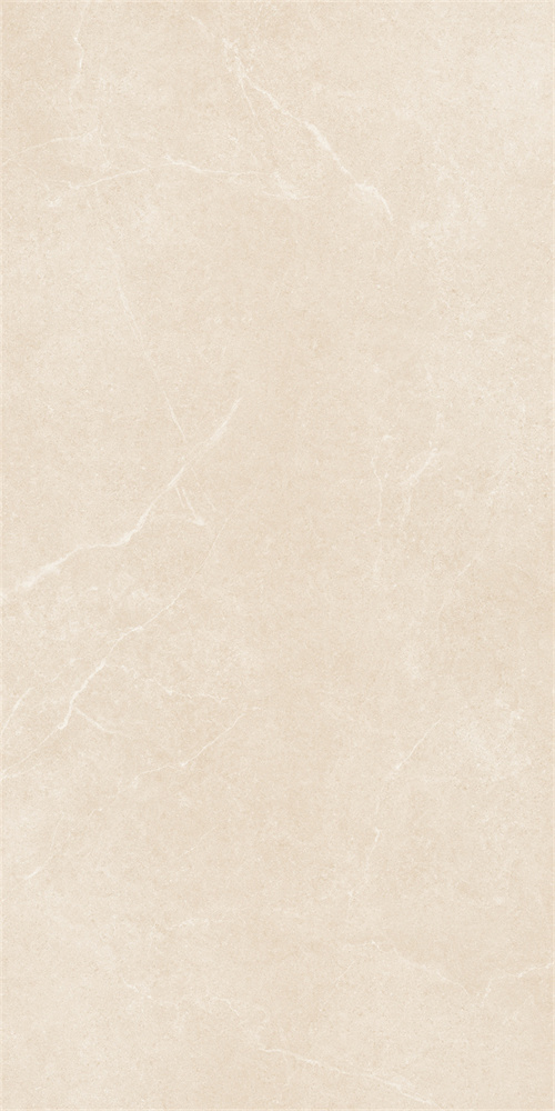 SR918811 文莱米黄 