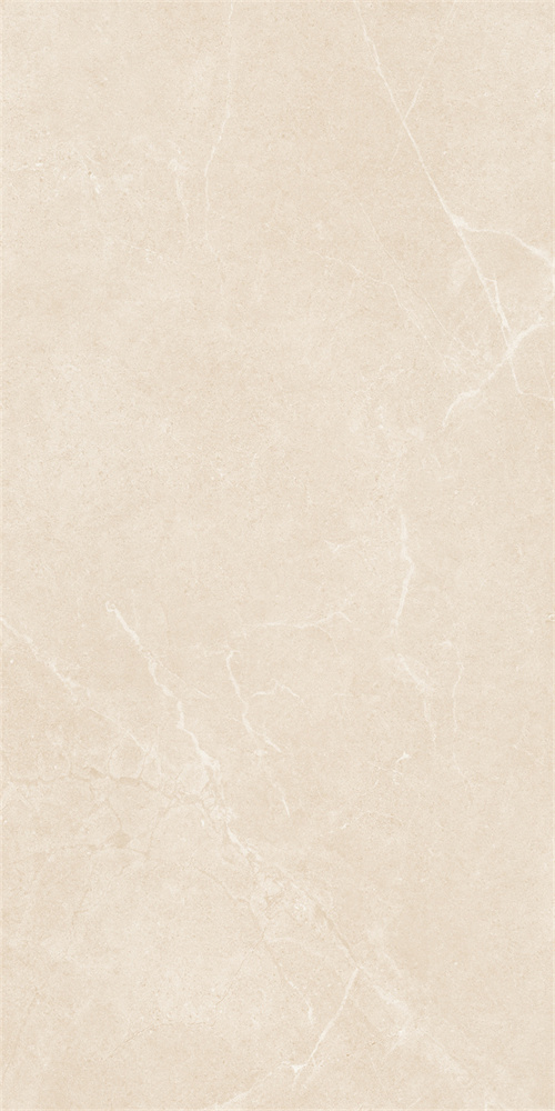 SR918811 文莱米黄 