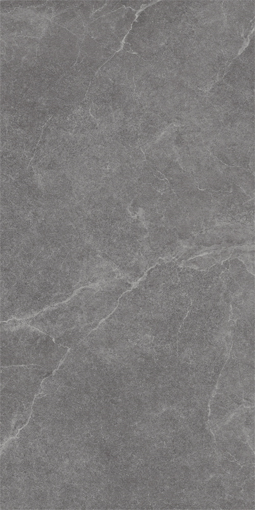 SR918813 文莱深灰