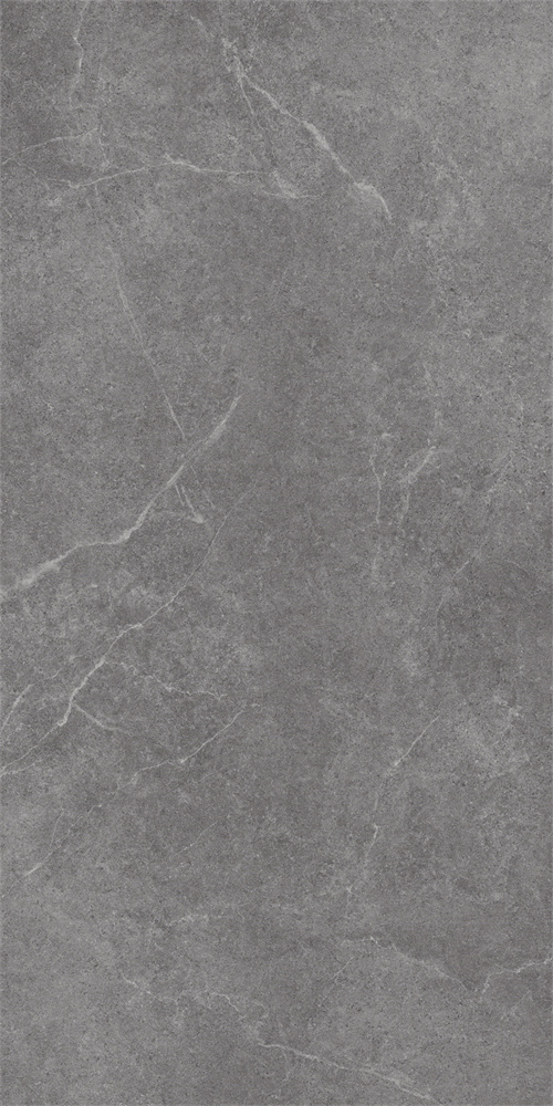 SR918813 文莱深灰