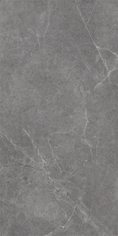 SR918813 文莱深灰