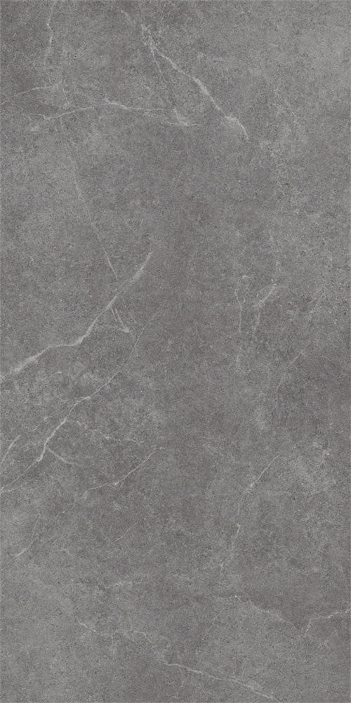 SR918813 文莱深灰