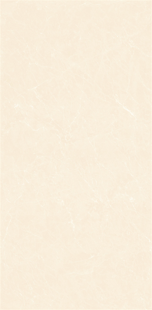 YB918619 顶级白玉兰 