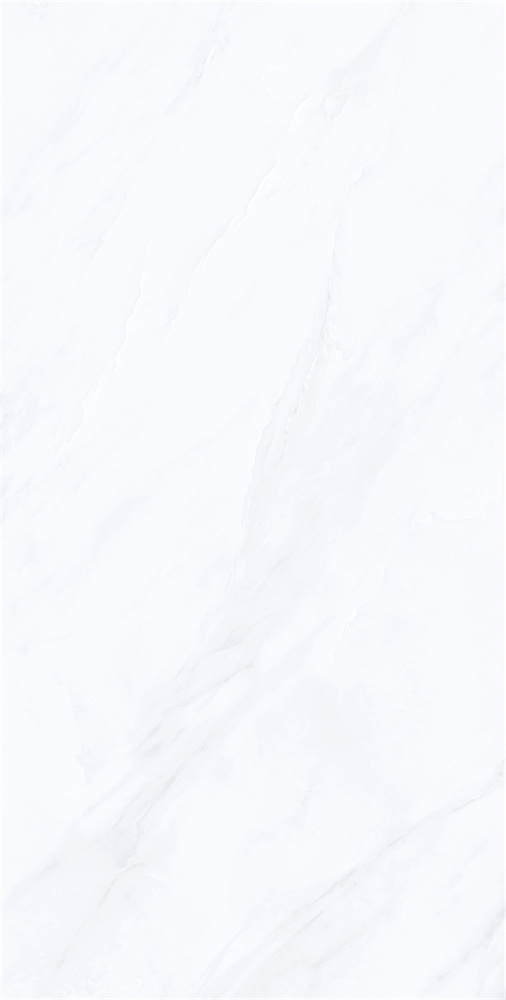 YB918622 范思哲白 