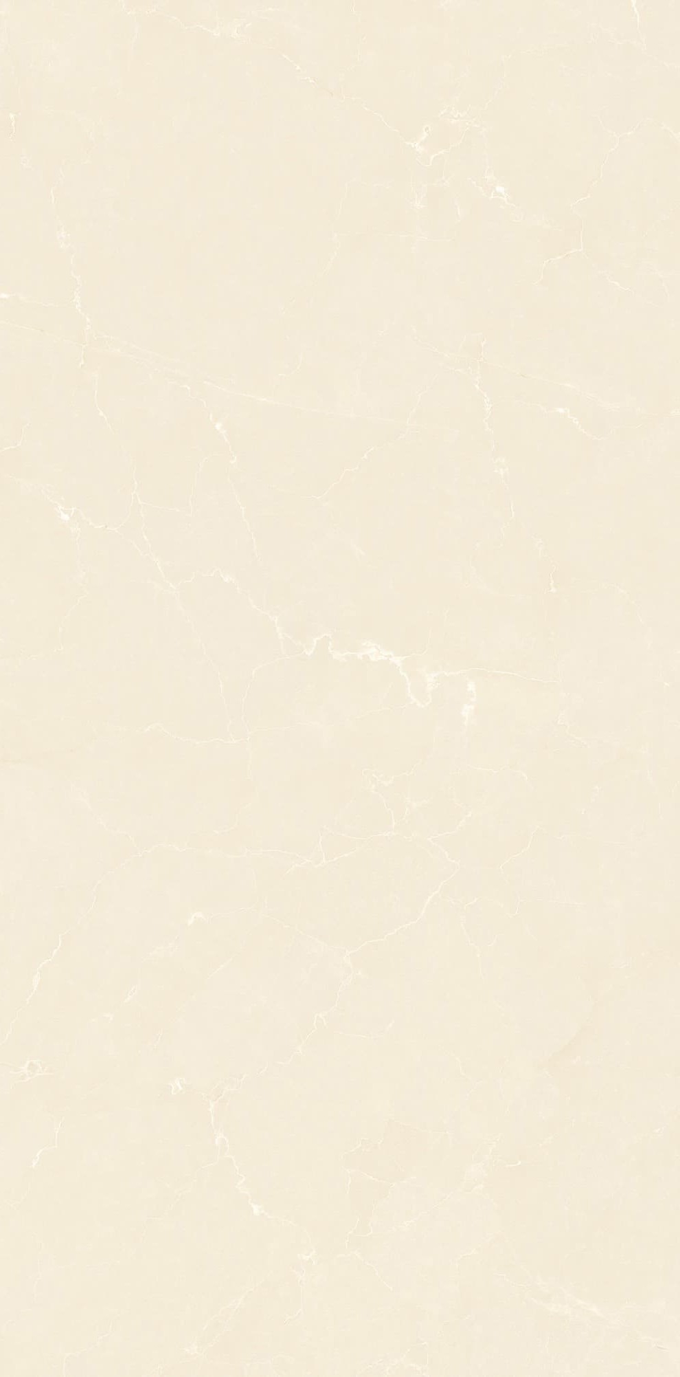 YB945618-经典莎安娜