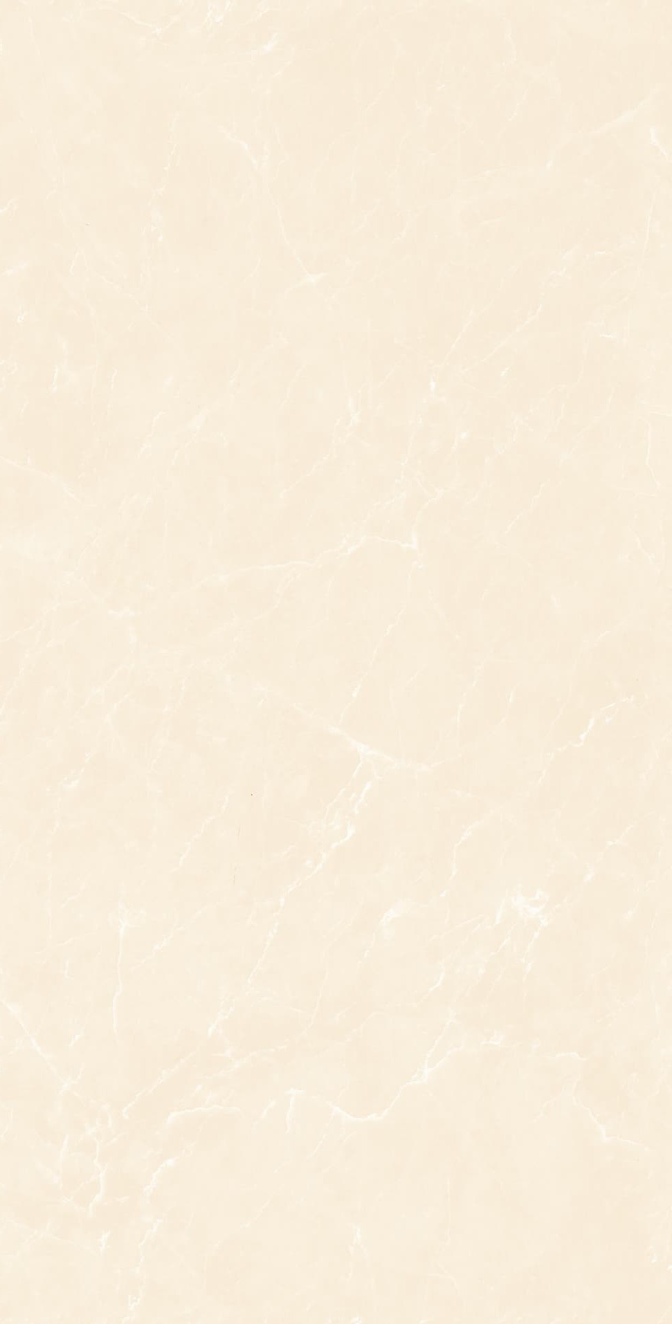 YB945619 顶级白玉兰