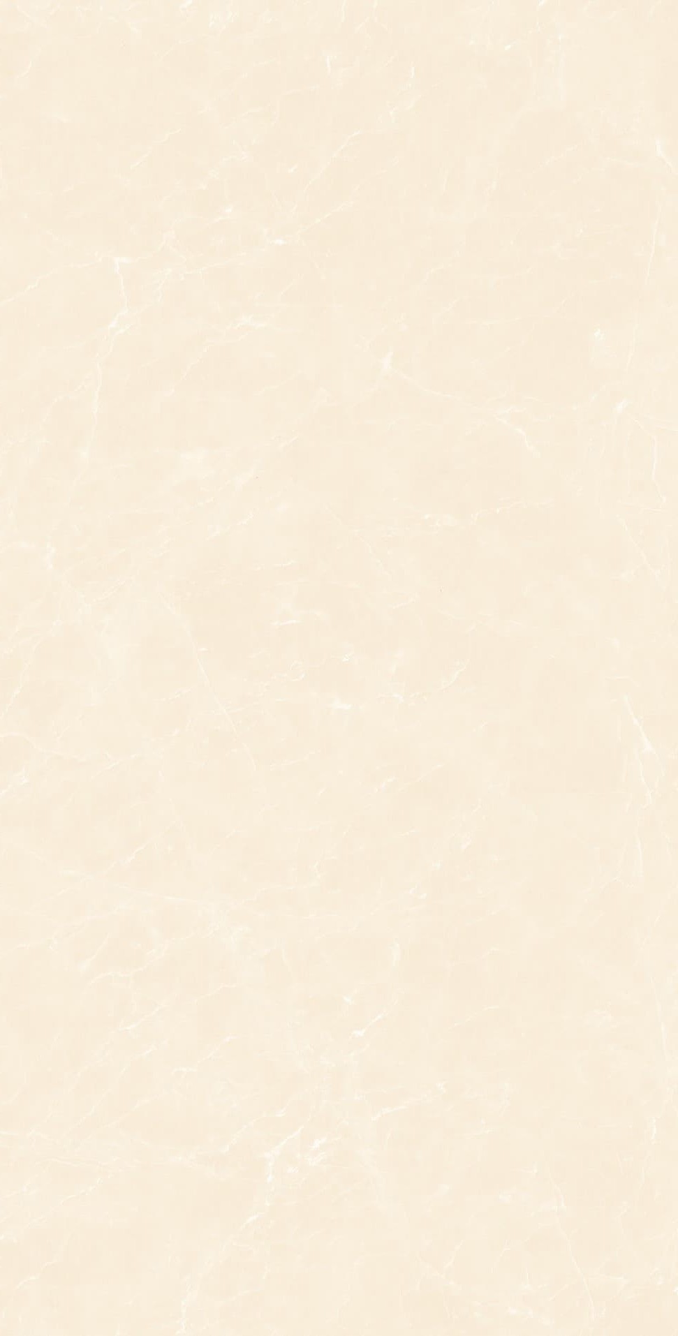 YB945619 顶级白玉兰