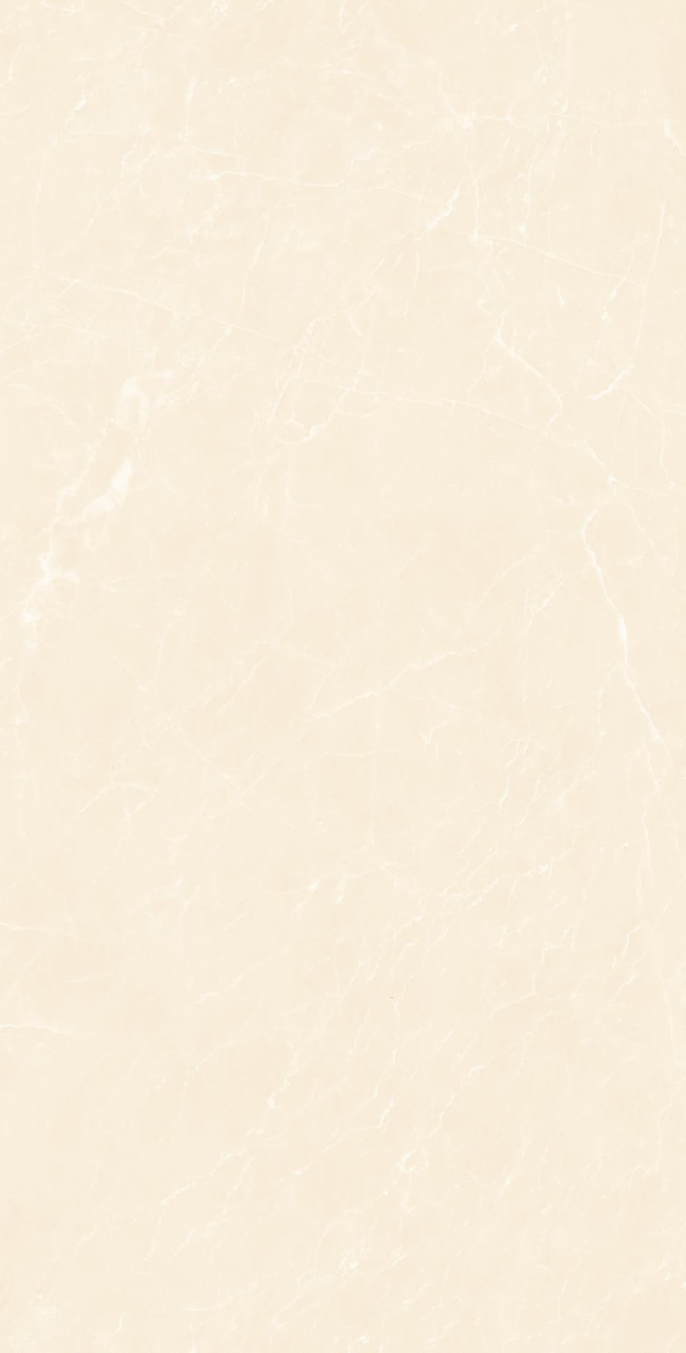 YB945619 顶级白玉兰