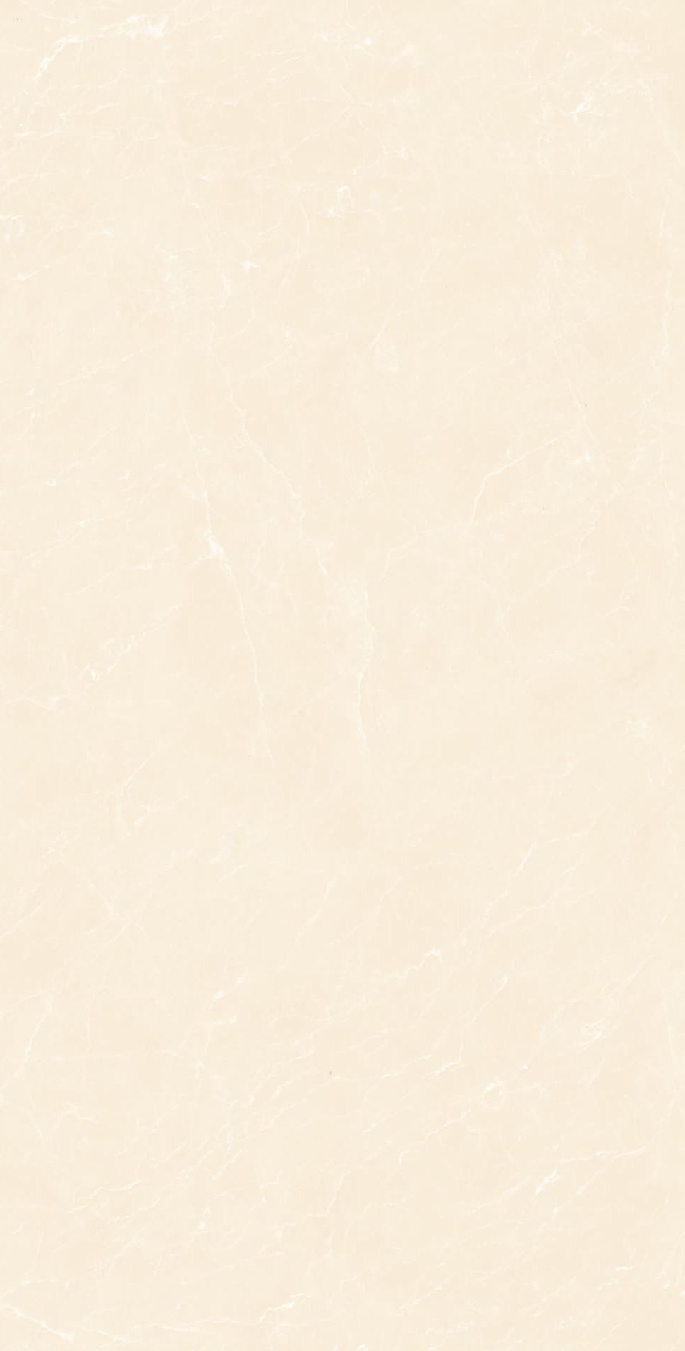 YB945619 顶级白玉兰