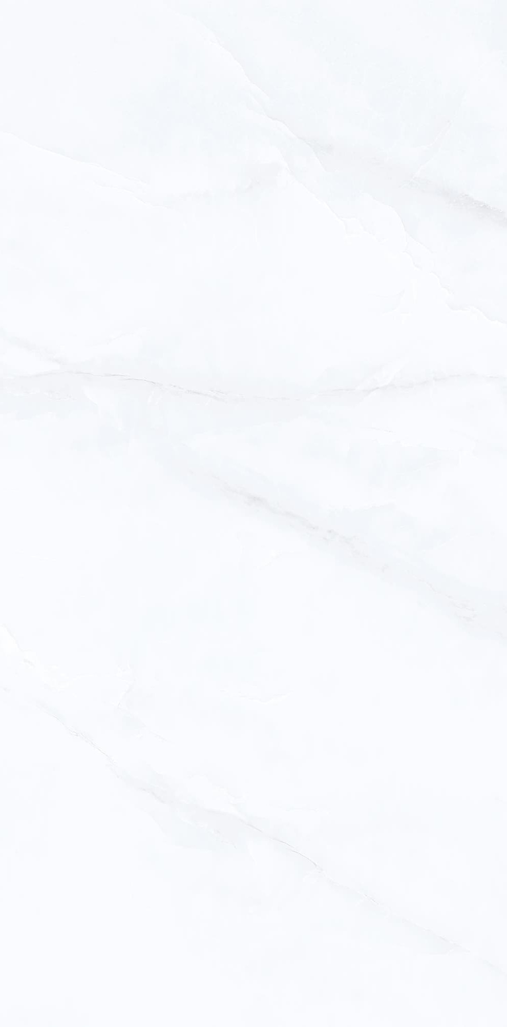 YB945622-范思哲白