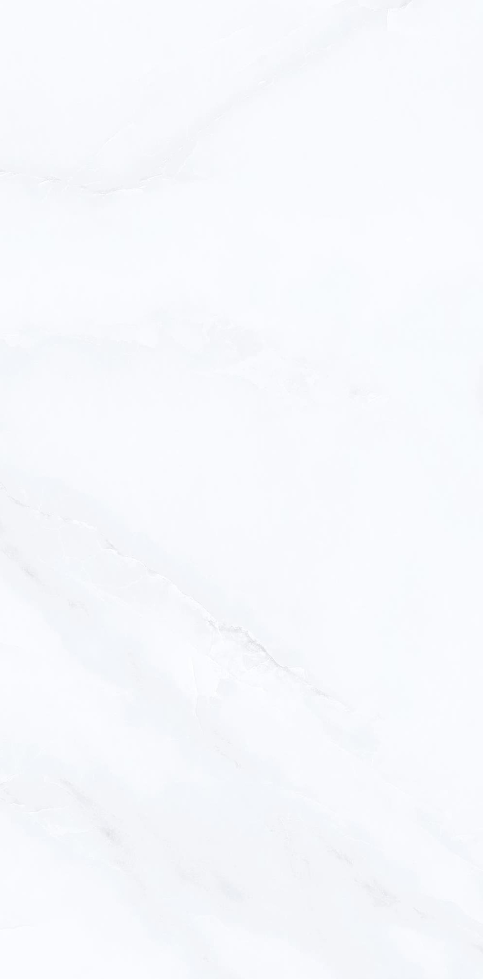 YB945622-范思哲白