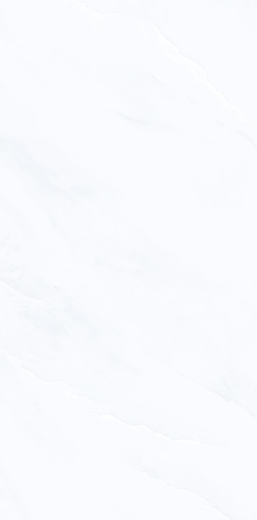 YB945622-范思哲白