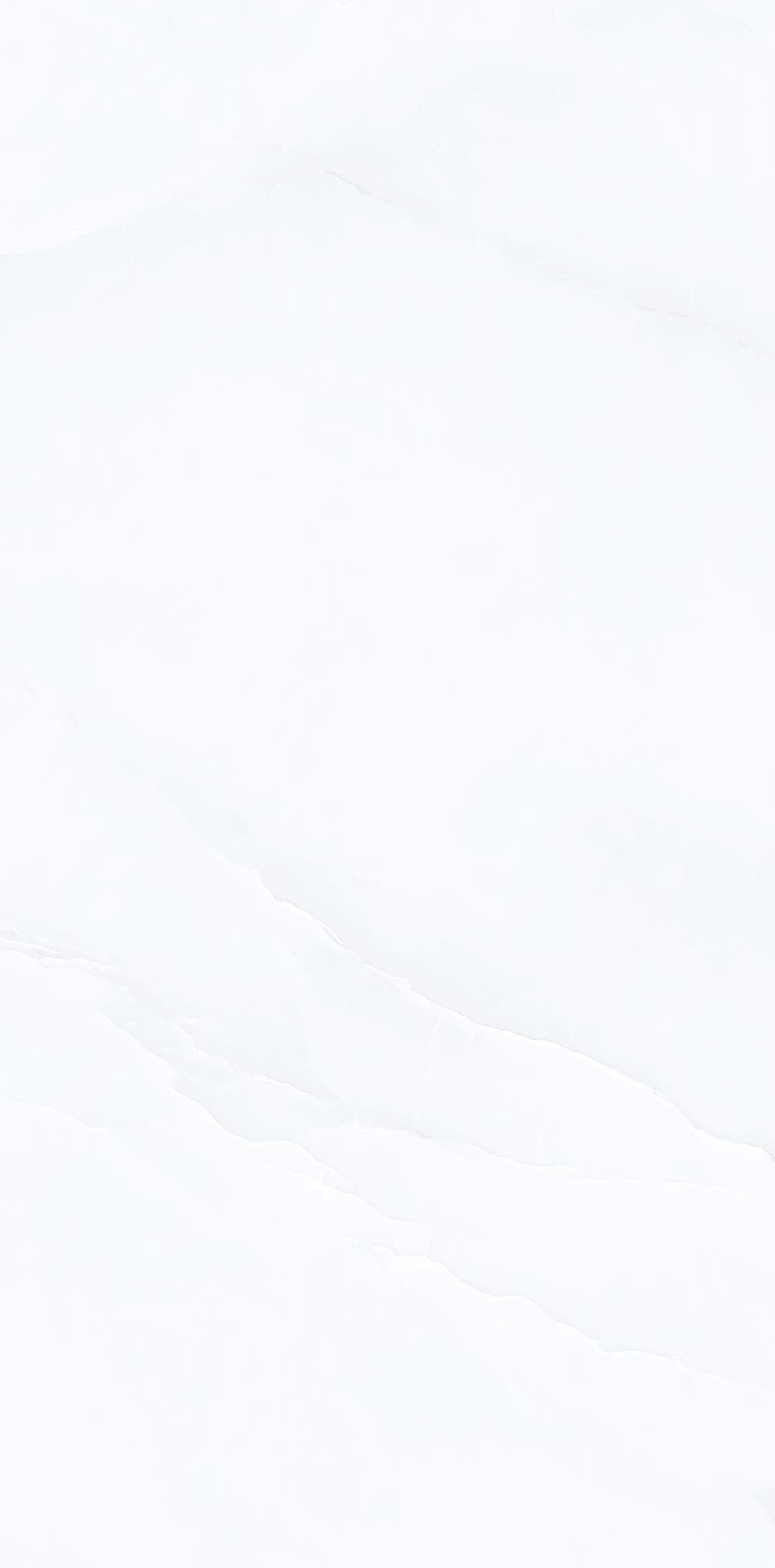 YB945622-范思哲白