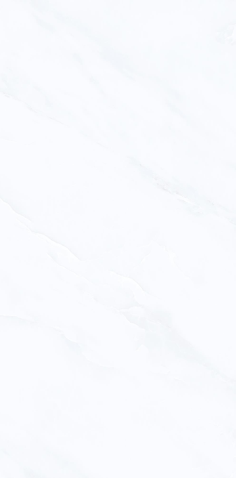 T18951 阿尔卑斯白