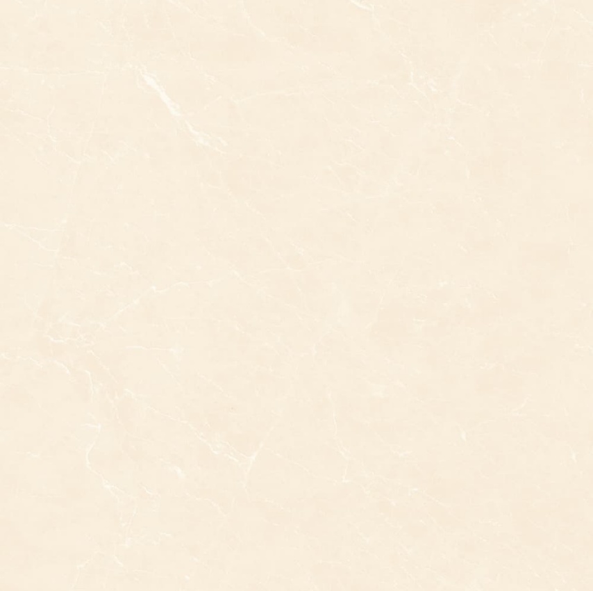 YB90619-顶级白玉兰