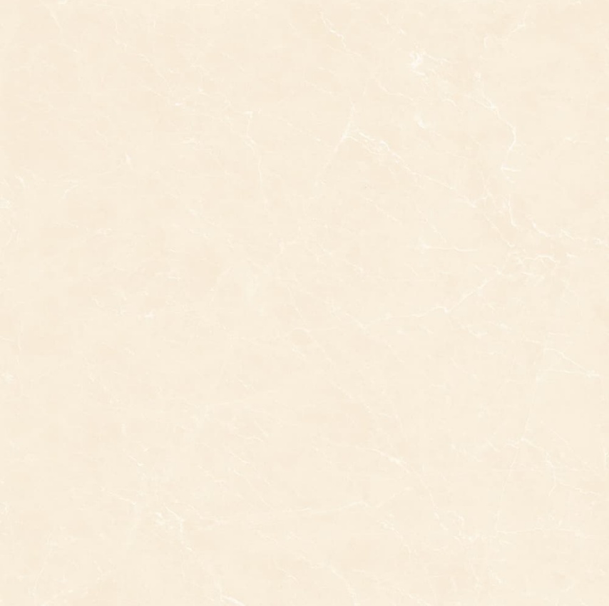 YB90619-顶级白玉兰