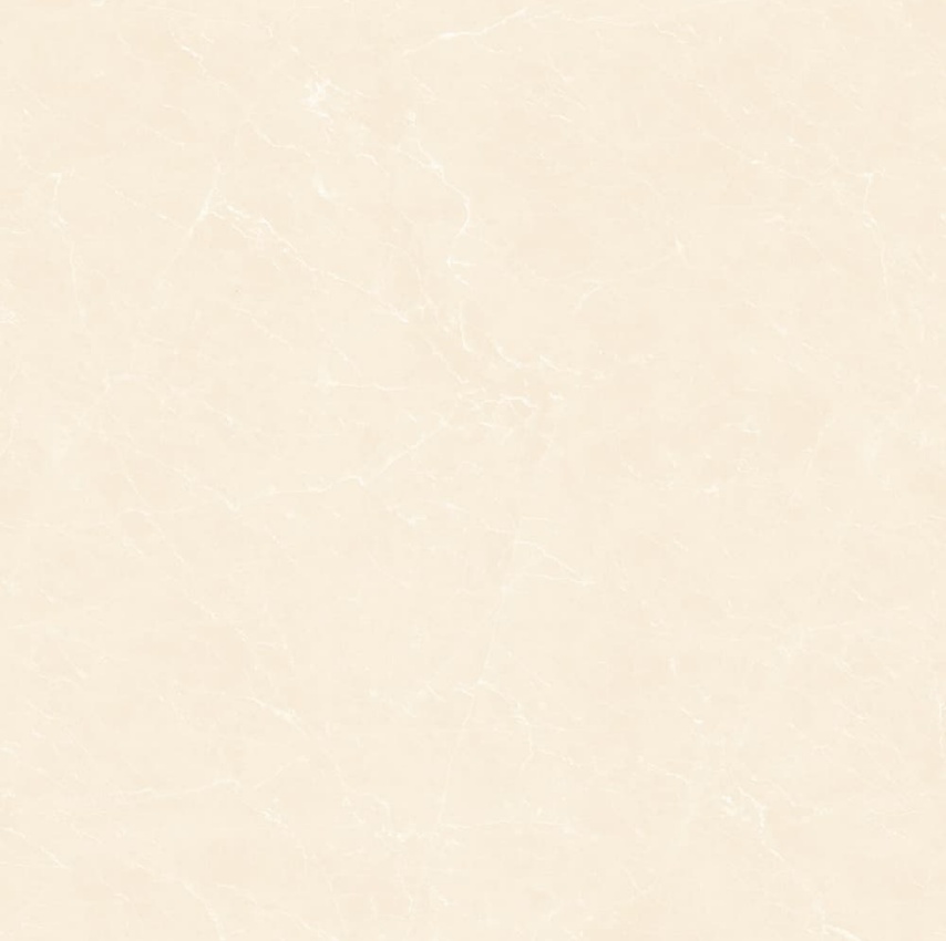 YB90619-顶级白玉兰