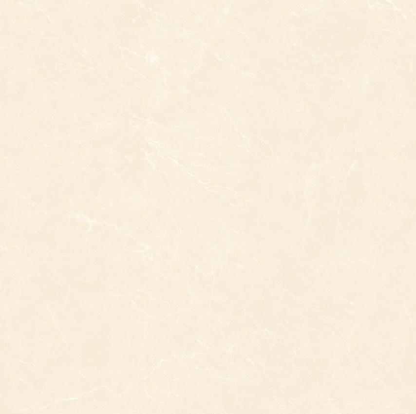 YB90619-顶级白玉兰