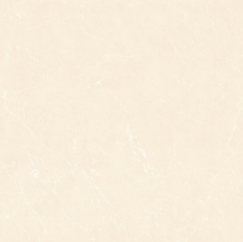 YB90619-顶级白玉兰