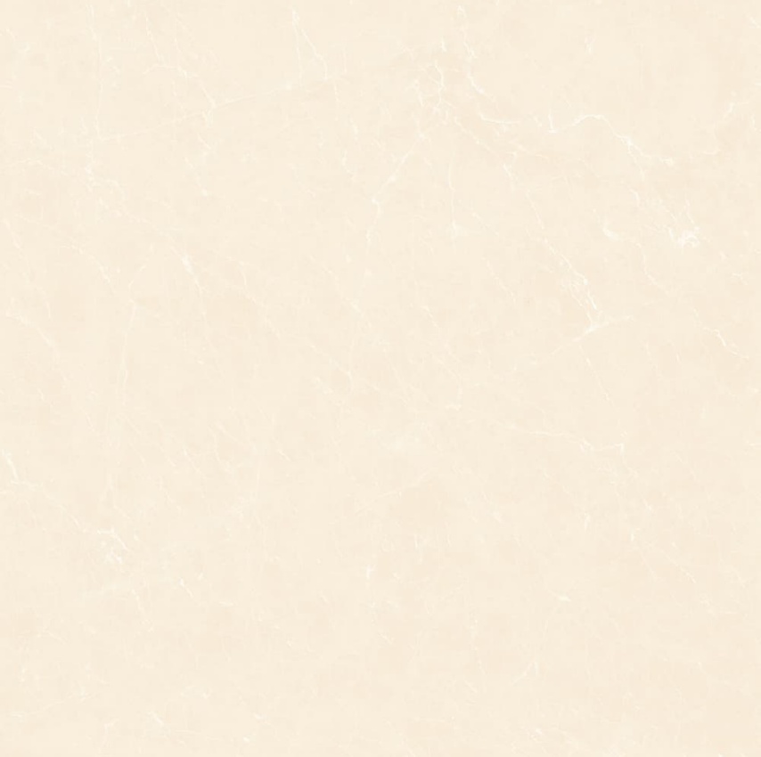 YB90619-顶级白玉兰