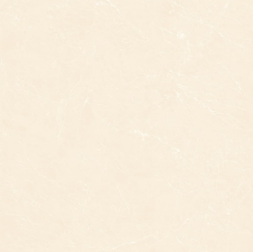 YB90619-顶级白玉兰