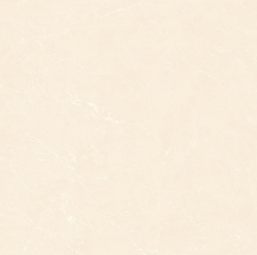 YB90619-顶级白玉兰