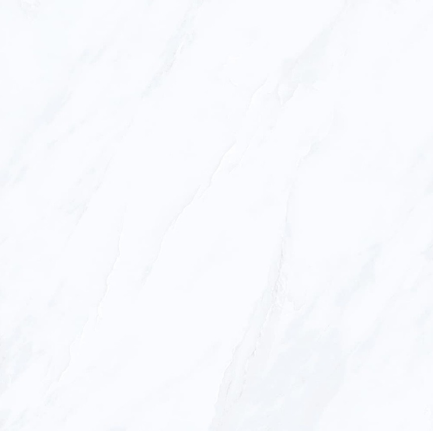 YB90622-范思哲白