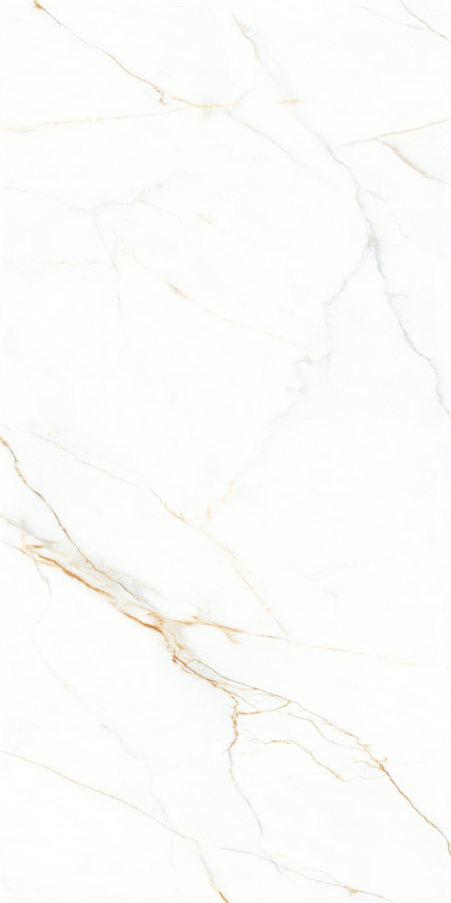 AB-YB918625 金丝白 