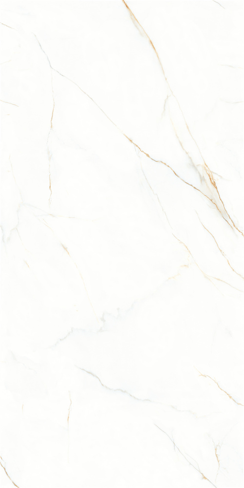 AB-YB918625 金丝白 