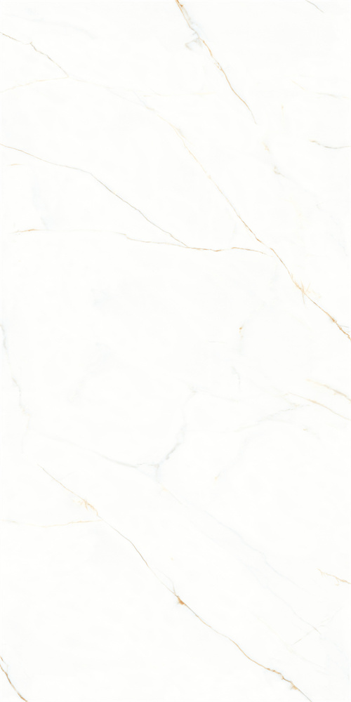 AB-YB918625 金丝白 