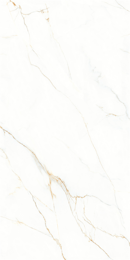 AB-YB918625 金丝白 