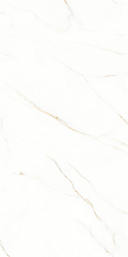 AB-YB918625 金丝白 